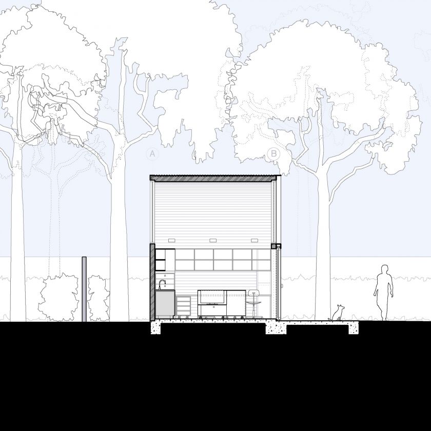 Architectural elevation and section drawings