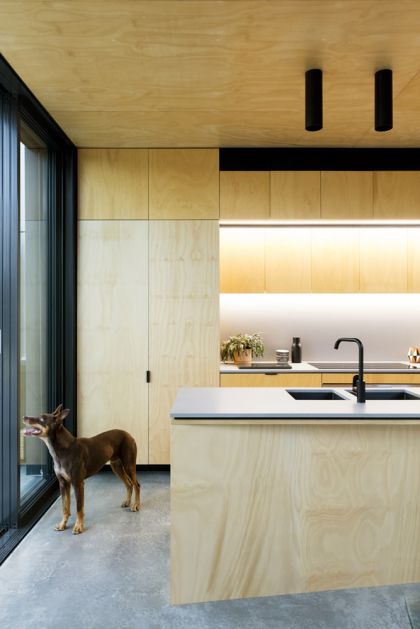 Binary House kitchen detail view